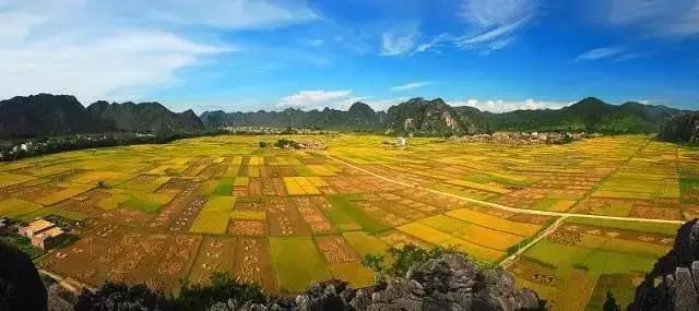 中國經(jīng)濟(jì)體制改革基金會全國第一！中國改革熱度第三方評估出爐，云浮宣傳系數(shù)在全國343個(gè)城市居首位                             